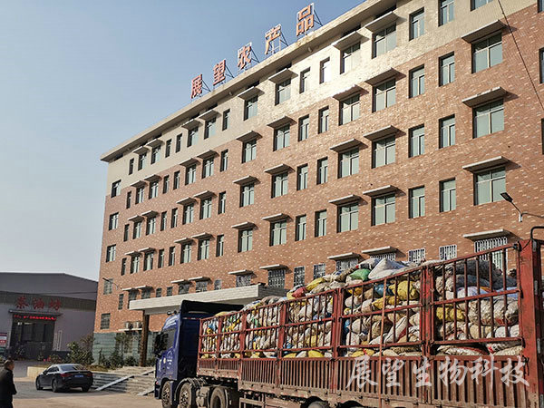 油茶鲜果收购 油茶鲜果收购