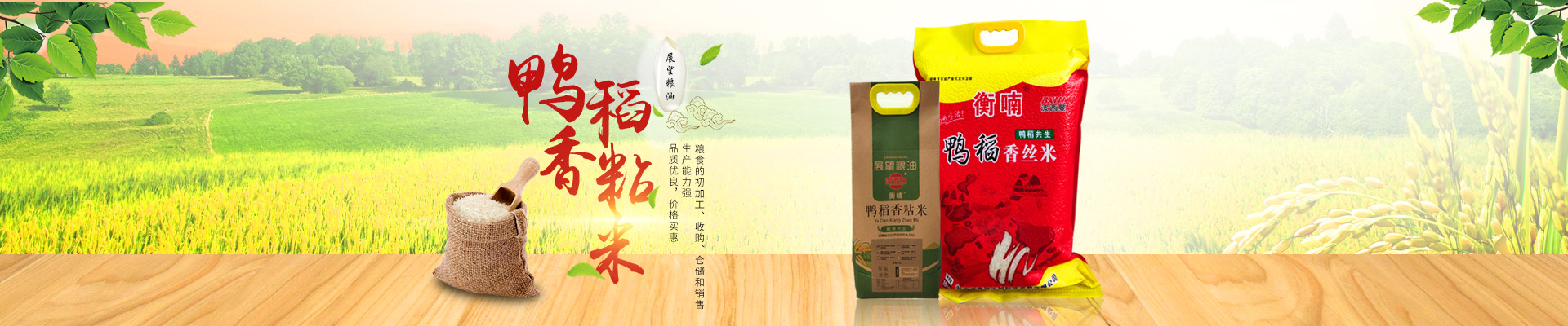 湖南省k8凯发生物科技发展有限公司_农副产品加工|粮食收购 湖南省k8凯发生物科技发展有限公司_农副产品加工|粮食收购