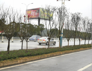农副产品加工,粮食收购,油料的种植,湖南省k8凯发生物科技发展有限公司 农副产品加工,粮食收购,油料的种植,湖南省k8凯发生物科技发展有限公司